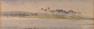 Dhaura Adası by Edward Lear